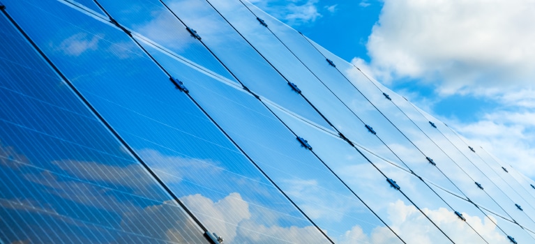 Environmental Sustainability