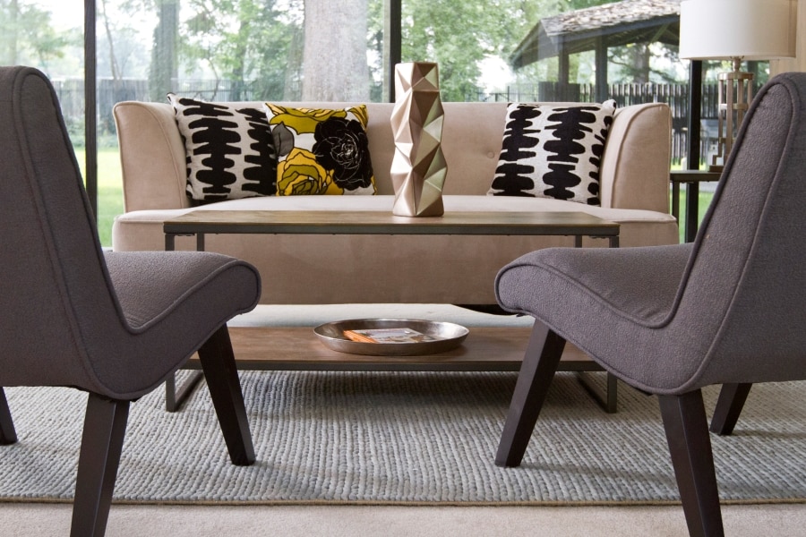 Living Room with Area Rug