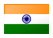 Indian_flag-logo